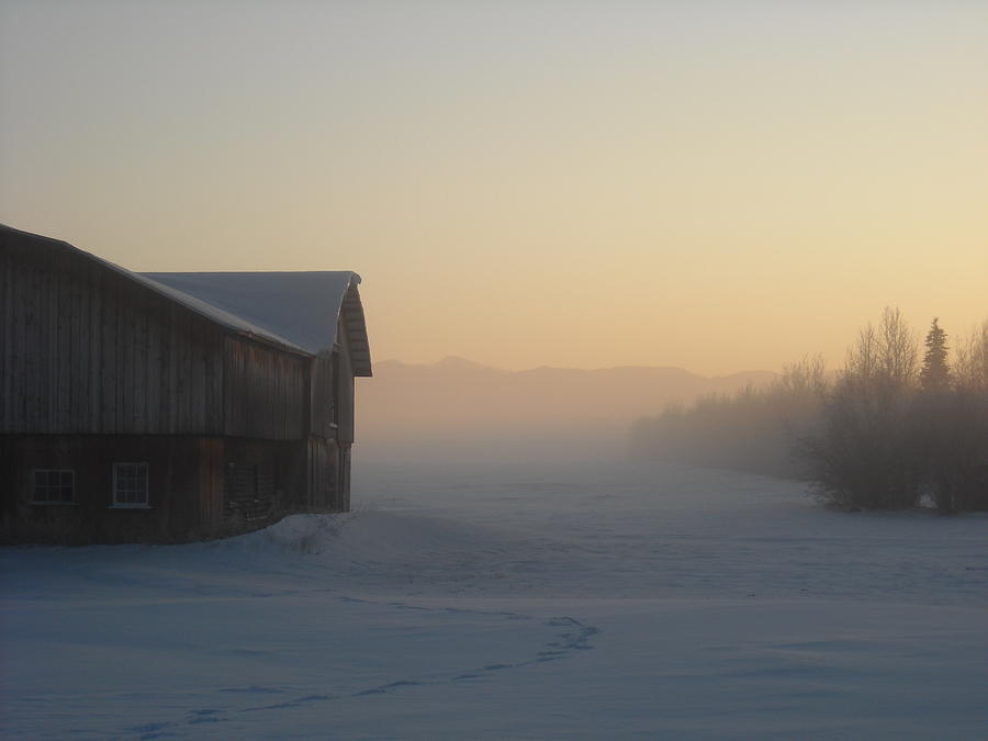 Ice Fog at -50 Photograph by Cathy Mahnke