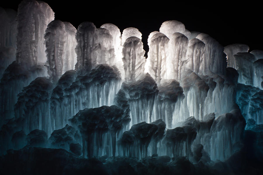 Ice Forest Photograph by Christie Kowalski