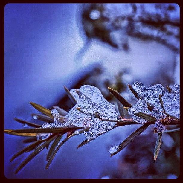 Winter Photograph - ❄ice Formation❄ #bestoftheday by Zyrus Zarate