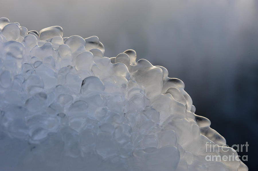 Ice Forms In Nature Photograph by John Shaw