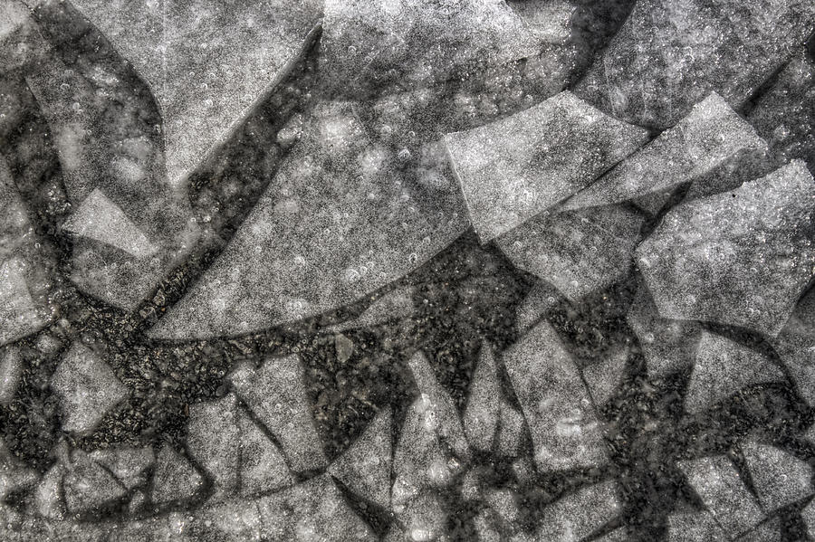 Ice Fractal Photograph by Jason Politte