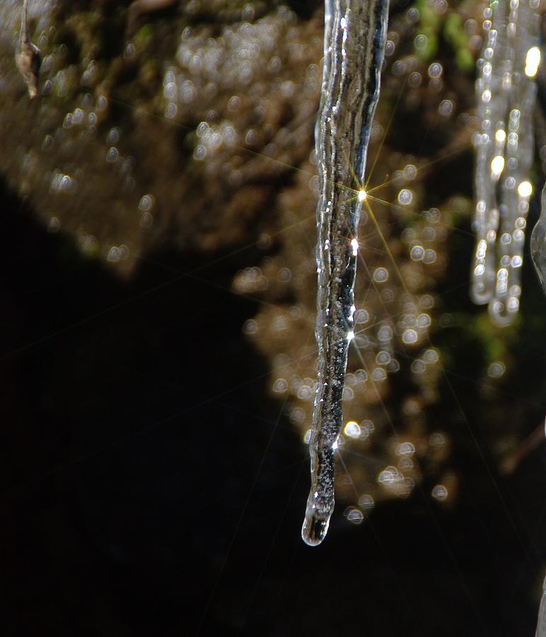 Ice Photograph