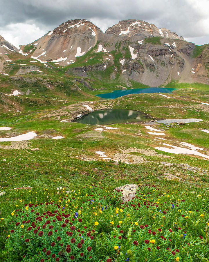 Ice Lake Basin Wildflowers Photograph by Aaron Spong