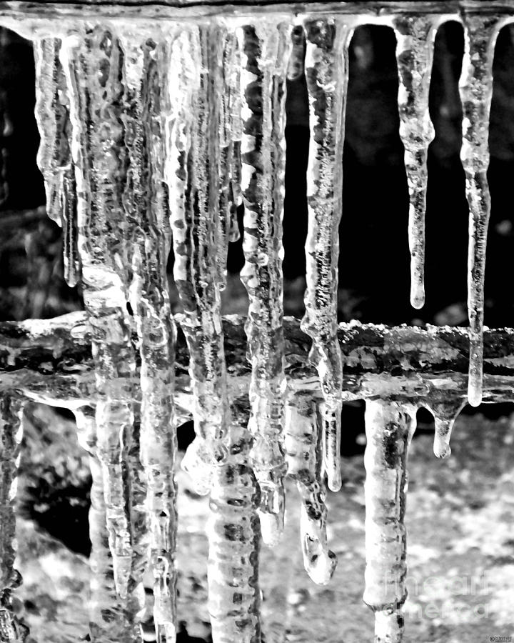 Ice Photograph by Lizi Beard-Ward
