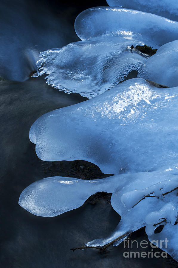 Ice Magic 3 Photograph by Bob Christopher
