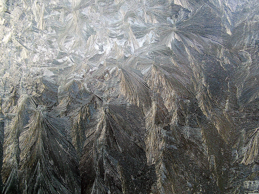 Ice Photograph by Mark Alan Perry
