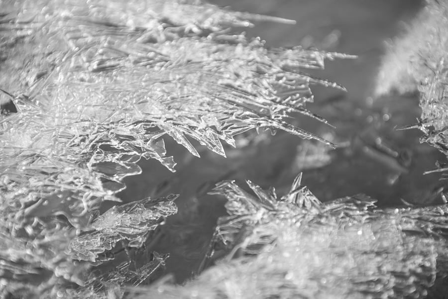 Ice Needles 1 Photograph by Ralf Kaiser