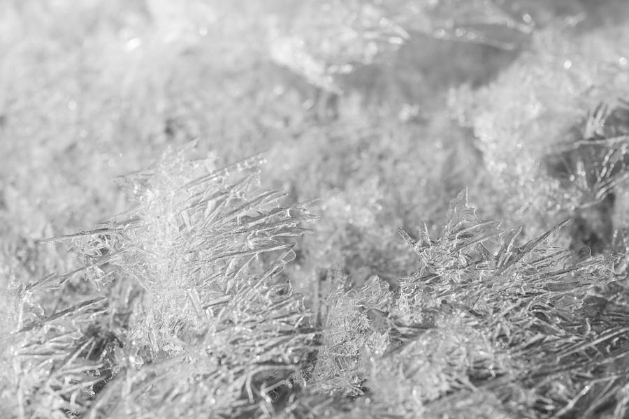 Ice Needles 2 Photograph by Ralf Kaiser