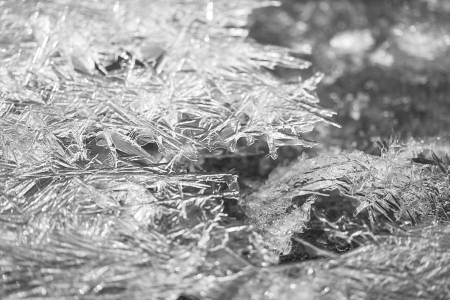 Ice Needles 3 Photograph by Ralf Kaiser