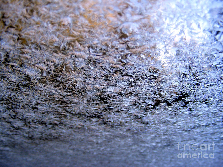 ice Photograph by Nina Ficur Feenan