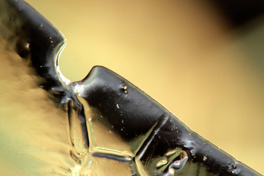 Bubbles Photograph - Ice No.011 by Kolomija Bubbles Photograph - Ice No.011 by Kolomija