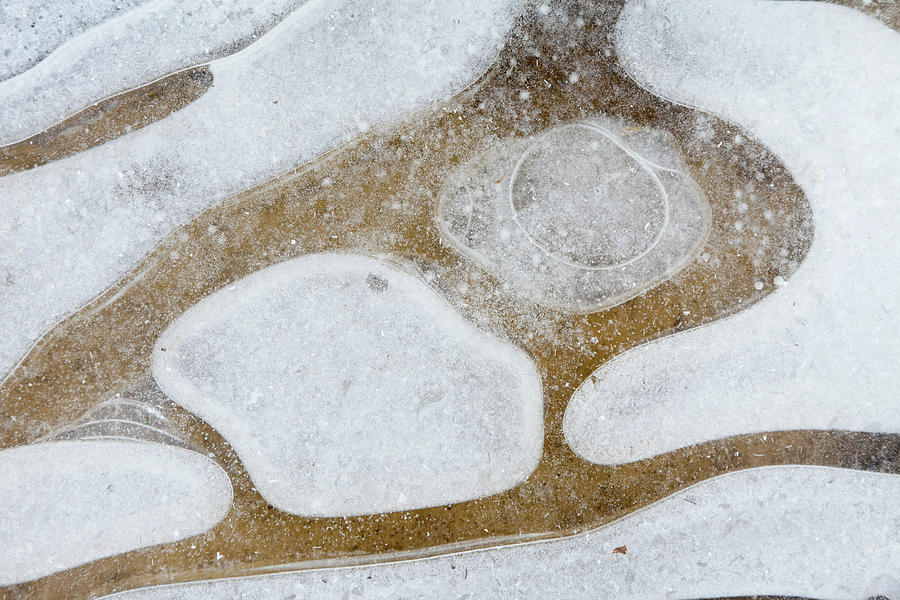 Ice On A Frozen Puddle Photograph by Stephen Dorey