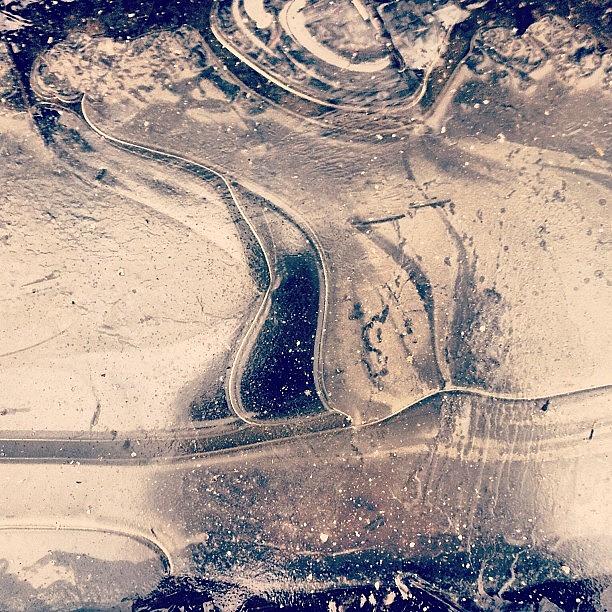 Ice Photograph - Ice on a puddle by Nic Squirrell