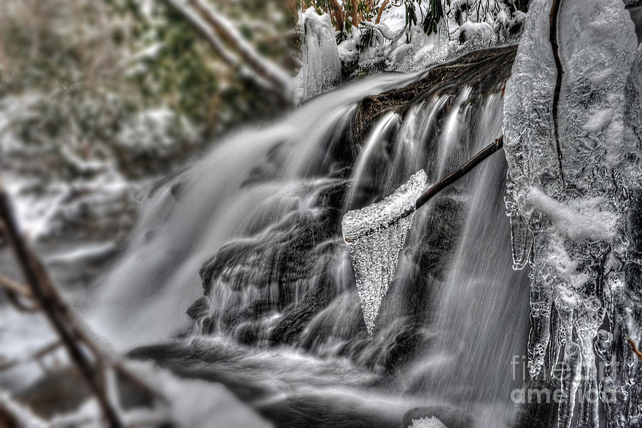 Winter Photograph - Ice on a stick by Dan Friend