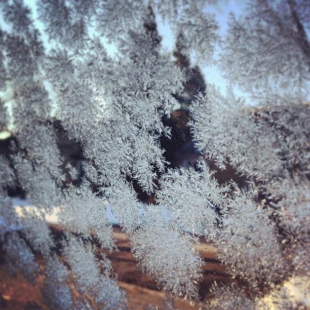 Canada Photograph - Ice On My Windows #canada #ice #coldaf by Kieffer Meridew