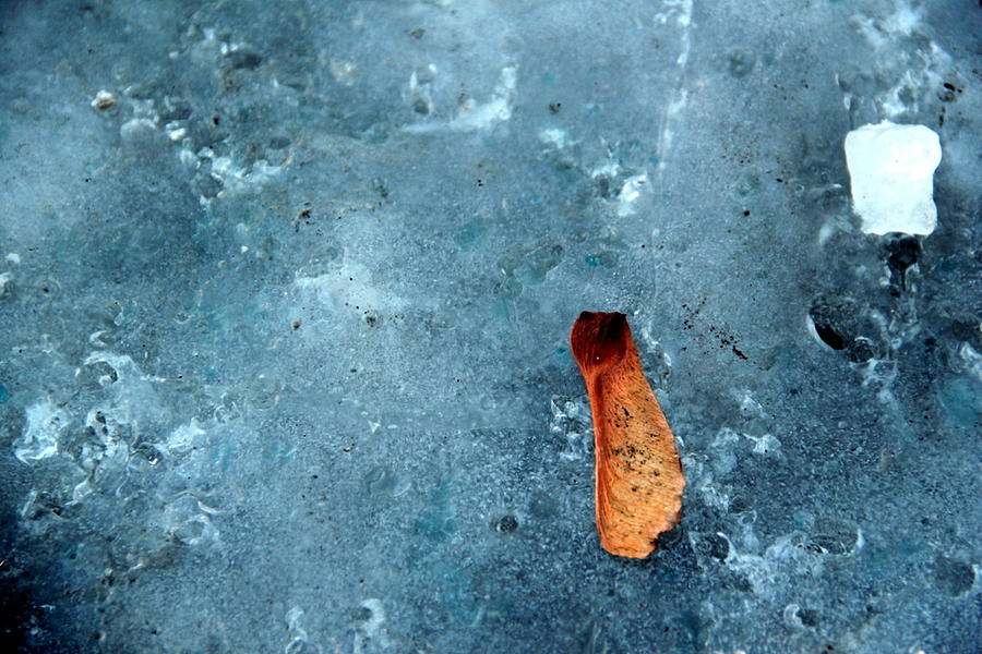 Ice One Photograph by A K Dayton