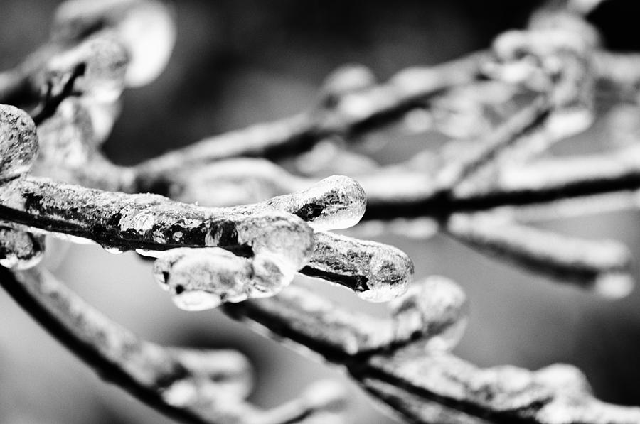 Iceout Photograph by Kelly Hayner Pixels