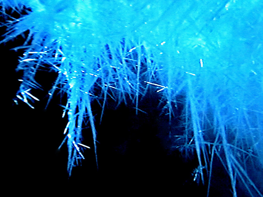 Ice Particles Photograph by Colette V Hera Guggenheim