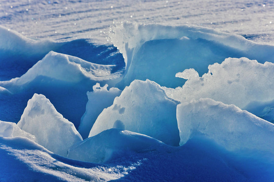 Nature Photograph - Ice Pattern, Iles De La Madeleine by Keren Su