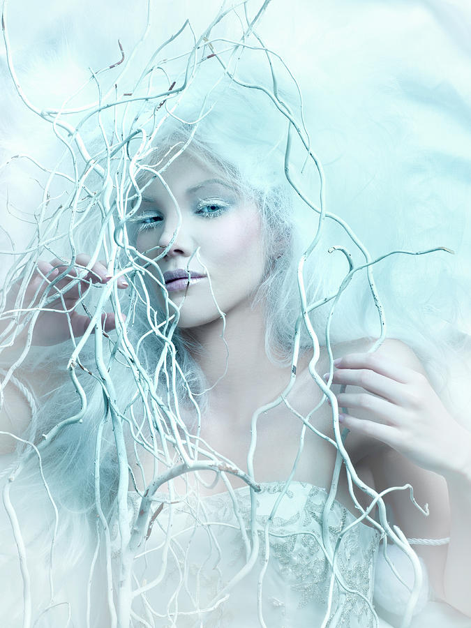 Ice Princess With White Tortured Willows Photograph by Colin Anderson