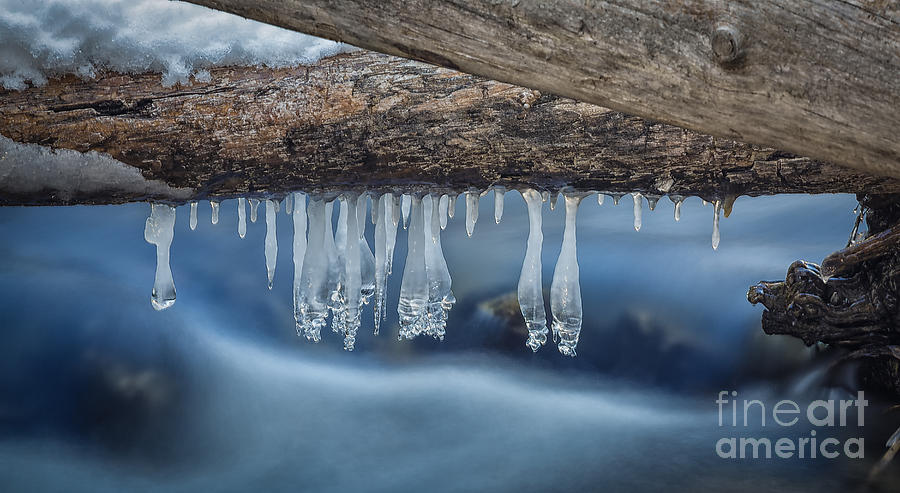 ice-rain-drops-photograph-by-mitch-johanson-fine-art-america