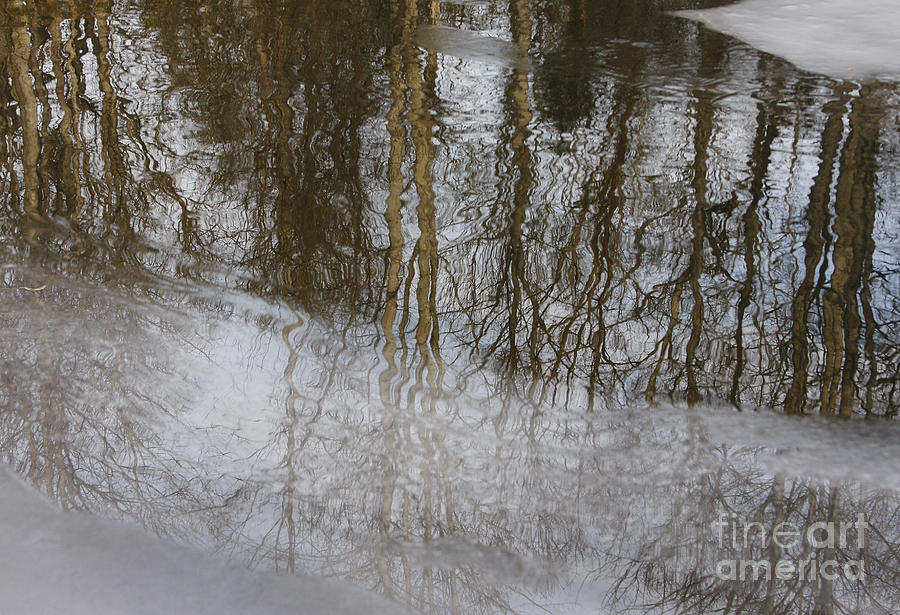 Ice Reflection Photograph by Jonathan Welch