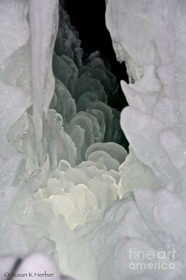 Nature Photograph - Ice Scales by Susan Herber