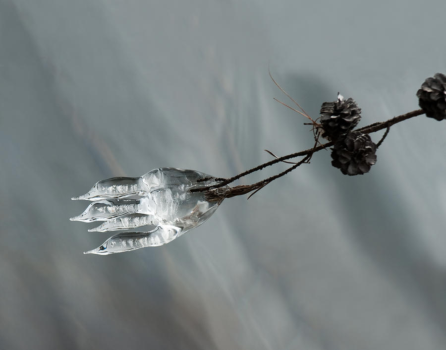 Ice Sculpture 1 Photograph by Lara Ellis