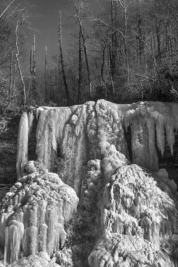 Ice Sculpture Photograph by Alan Raasch