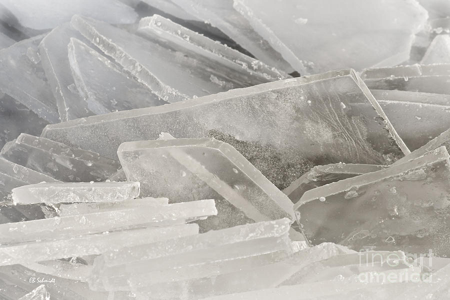 Ice Shards of Cheney Lake Photograph by E B Schmidt