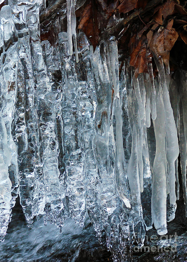Ice Sickles Photograph by Karen Adams