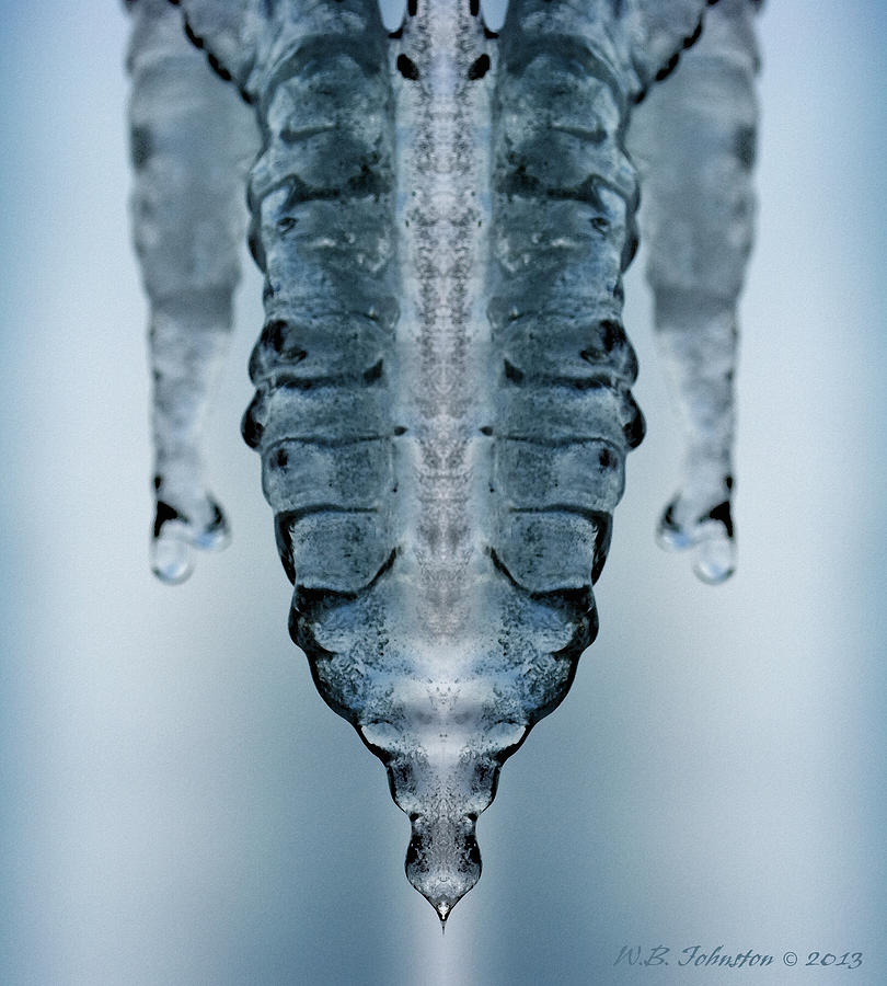 Ice Stinger Photograph by WB Johnston