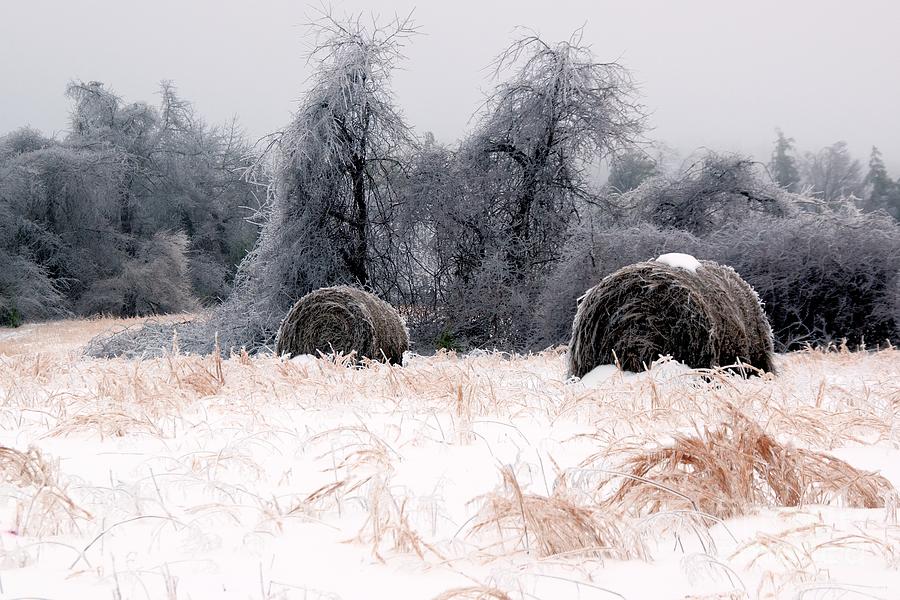 Ice Storm and Hay Bales in the Blue Rdige Mountains Photograph by John Harmon