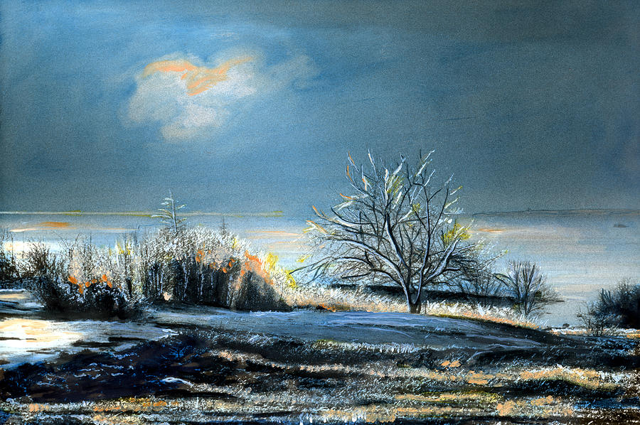 Ice Storm Coast of Maine Painting by Cindy McIntyre