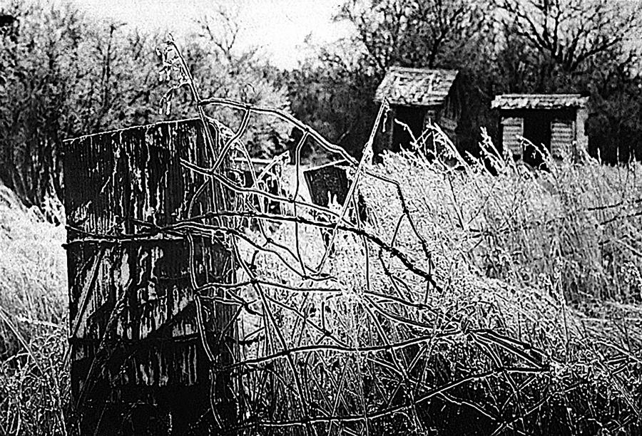 Ice Storm Fence His And Hers Outhouses Aberdeen South Dakota 1965 Black And White Photograph by David Lee Guss