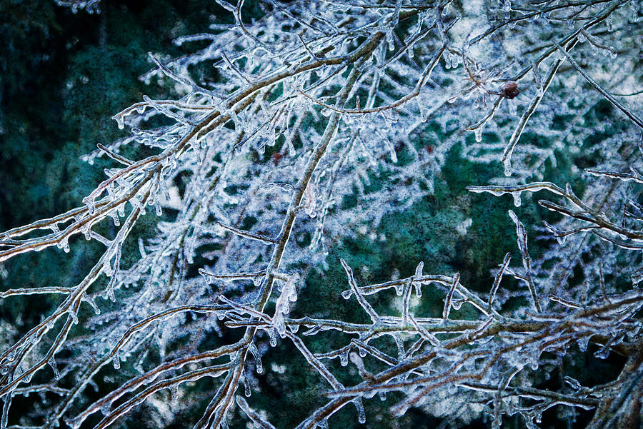 Ice Storm Photograph by Melinda Fawver