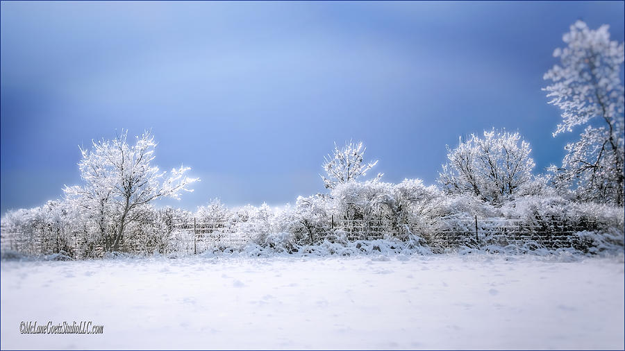 Landscape Photograph - Ice Storm Memories by LeeAnn McLaneGoetz McLaneGoetzStudioLLCcom