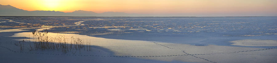 Ice Tracks Photograph by David Andersen