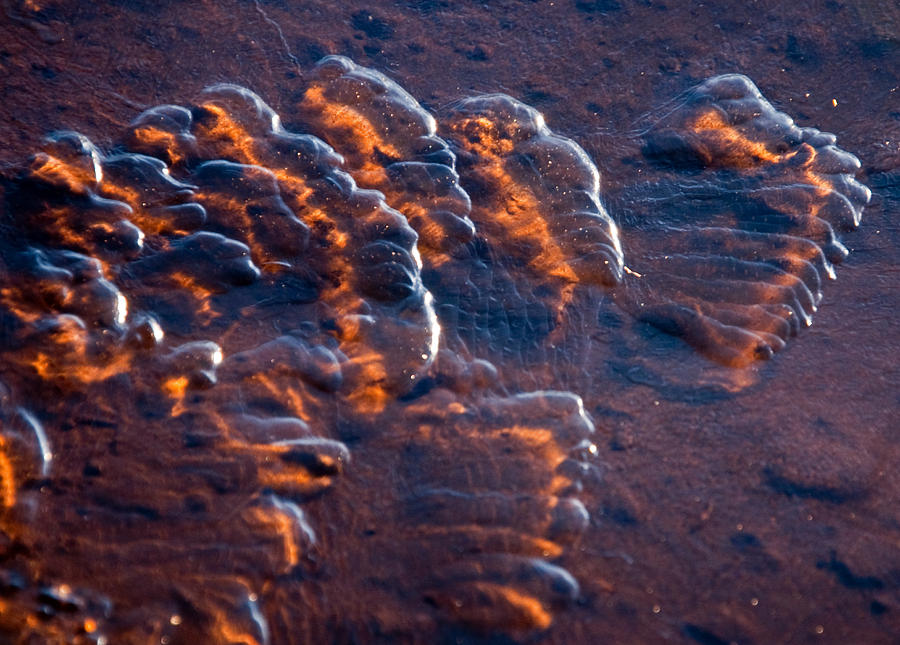 Ice Waves  Photograph by Eric Rundle