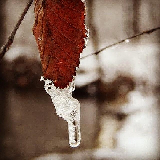 Winter Photograph - #ice #winter #snow #levittown #pa by Brian Harris