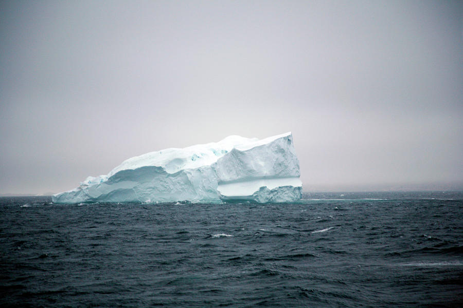 Iceberg Along The Southwest Coast Photograph by Yadid Levy - Fine Art ...