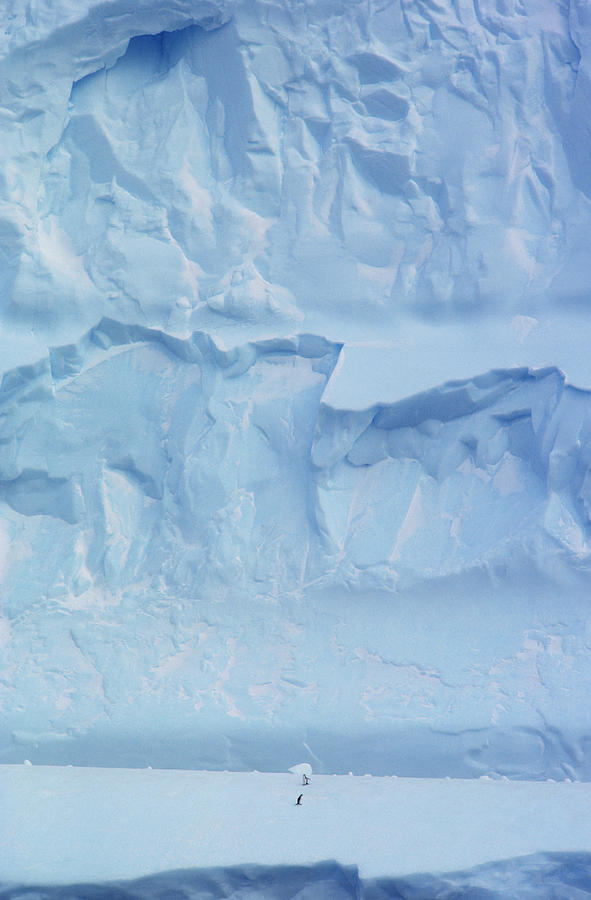 Iceberg, Antarctica Photograph by Robert Hernandez
