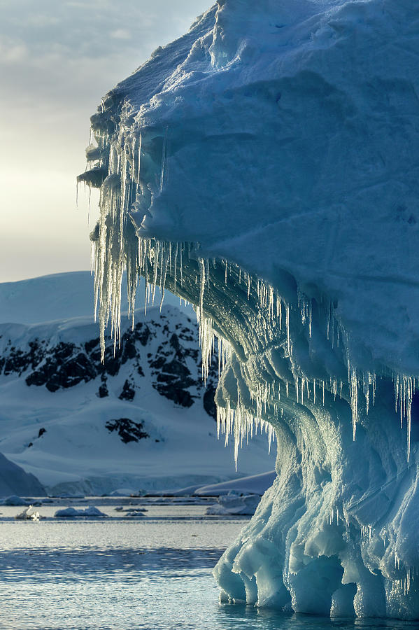 Iceberg At Dawn, Wilhelmina Bay Photograph by Paul Souders