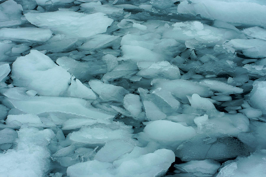 Nature Photograph - Iceberg Bits by Amanda Stadther