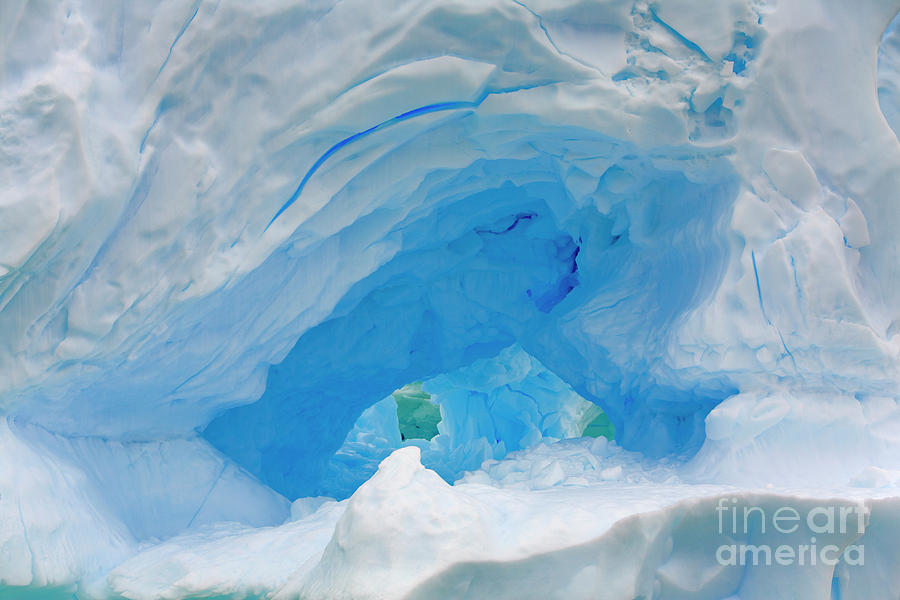 Dark Blue Hollow Iceberg Photograph by Yva Momatiuk John Eastcott