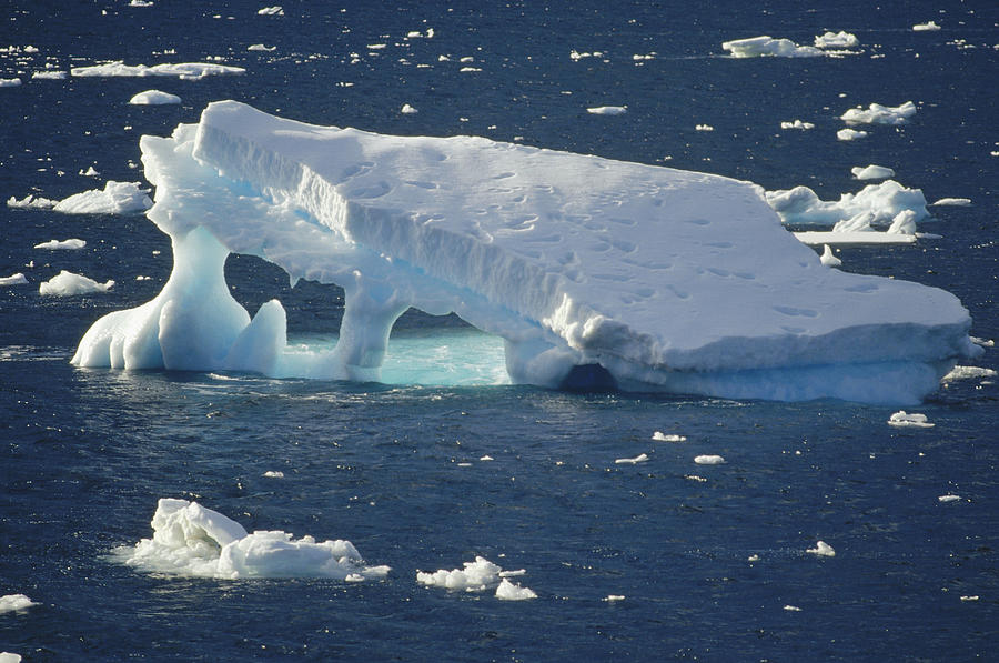 Iceberg Gerlache Strait Antarctica Photograph by Tui De Roy
