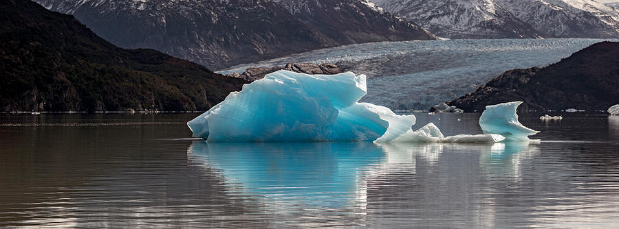 Nature Photograph - Iceberg In A Lake, Gray Glacier, Torres by Panoramic Images