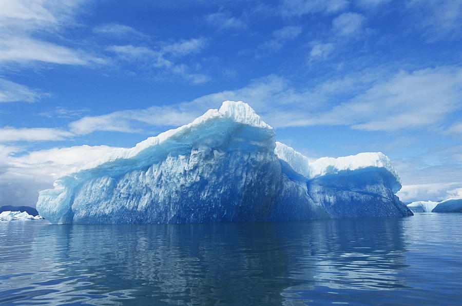 Iceberg In Leconte Bay, Alaska Photograph by Alison Wright
