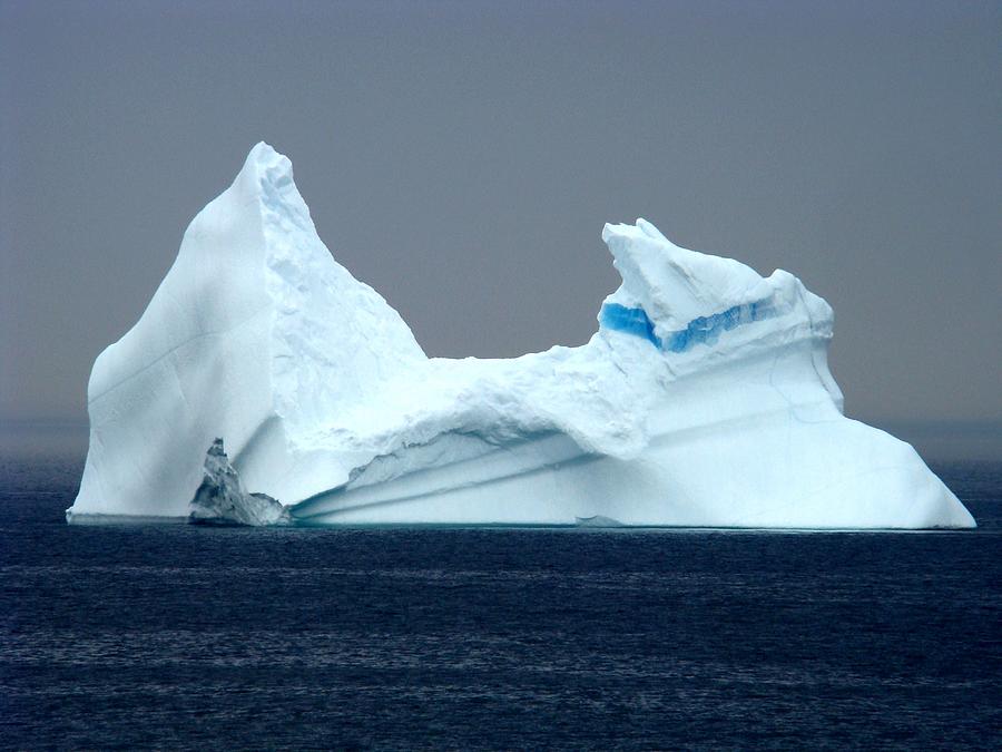 Iceberg in Newfoundland  Photograph by Zinvolle Art