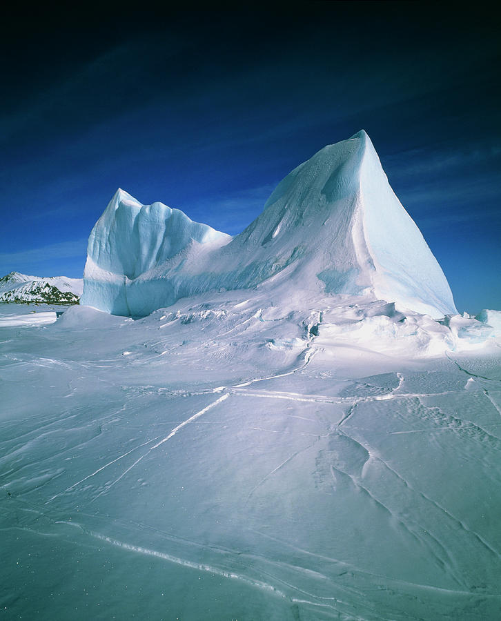 Iceberg In Sea Ice Off Greenland Photograph by Simon Fraser/science Photo Library